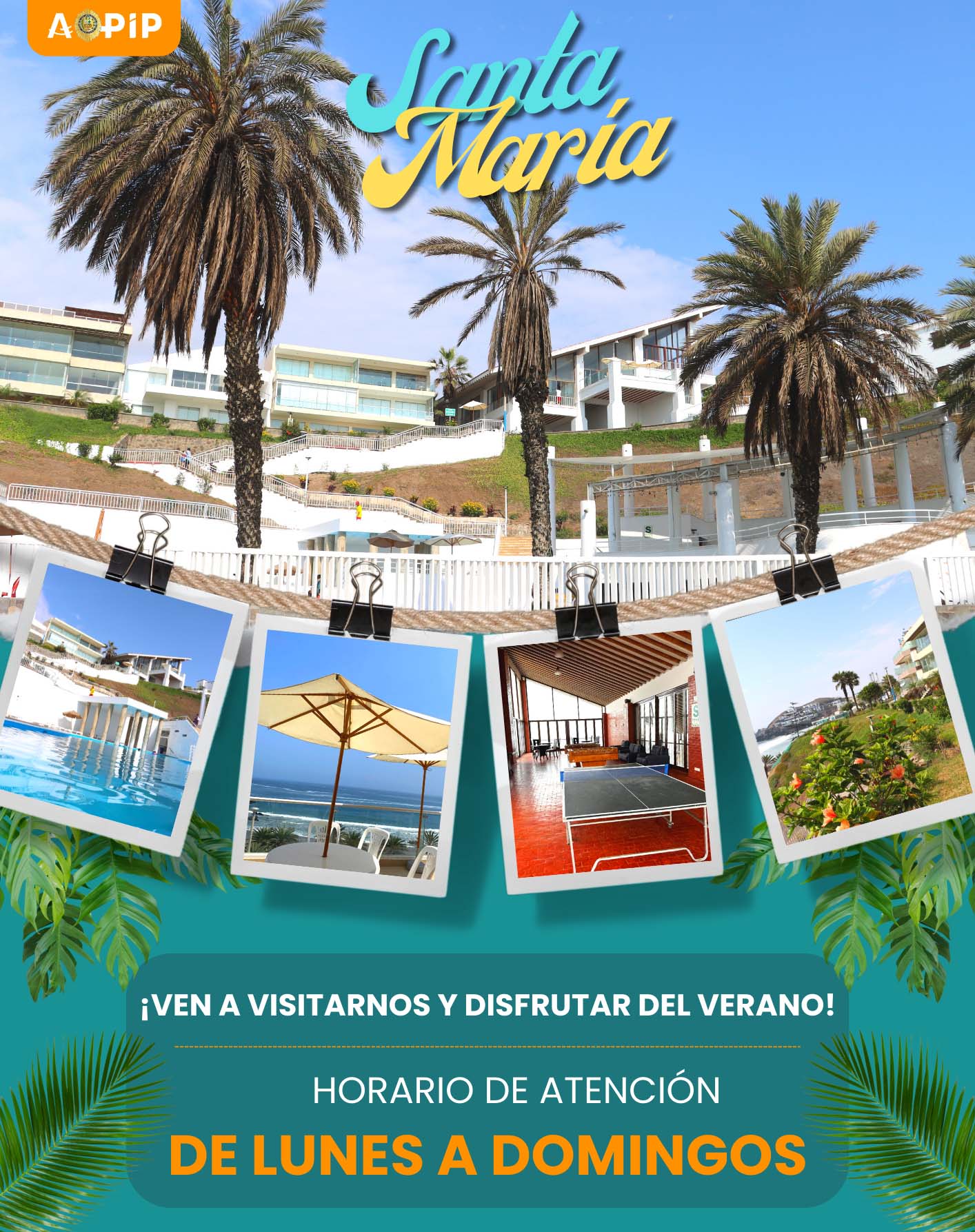 Imagen contenido